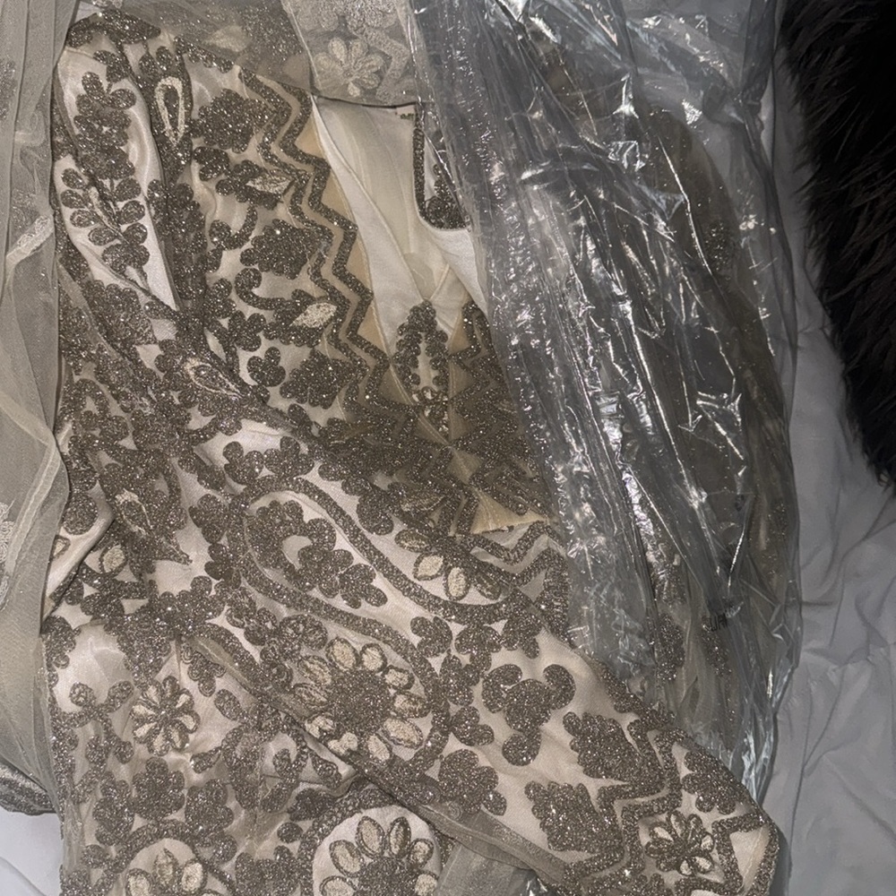Embroidered Ivory and Gold Sheer Overlay Dress - Picture 6 of 6